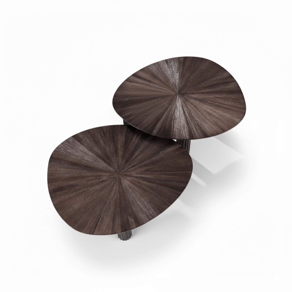 Salontafelset in bruin teakhout (set van 2) – Ovo