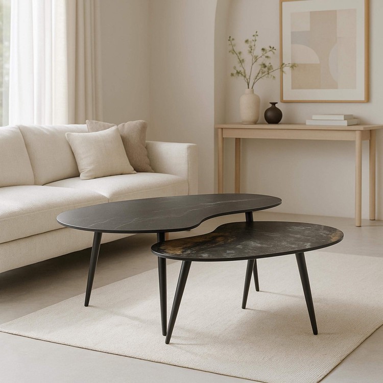 Set van 2 organisch gevormde keramische salontafels