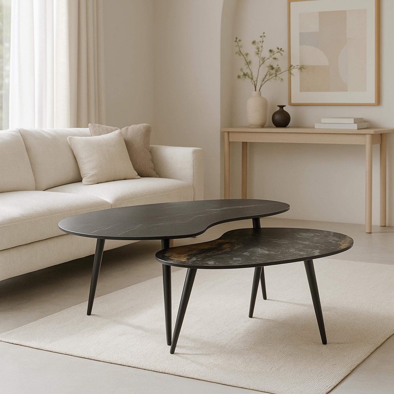 Set van 2 organisch gevormde keramische salontafels