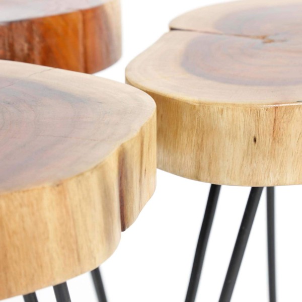 Bijzettafel in massief acaciahout (set van 2) – Trunk