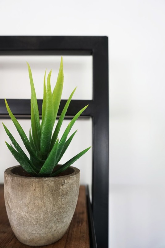 Set van 5 wandplanken - Selfsh